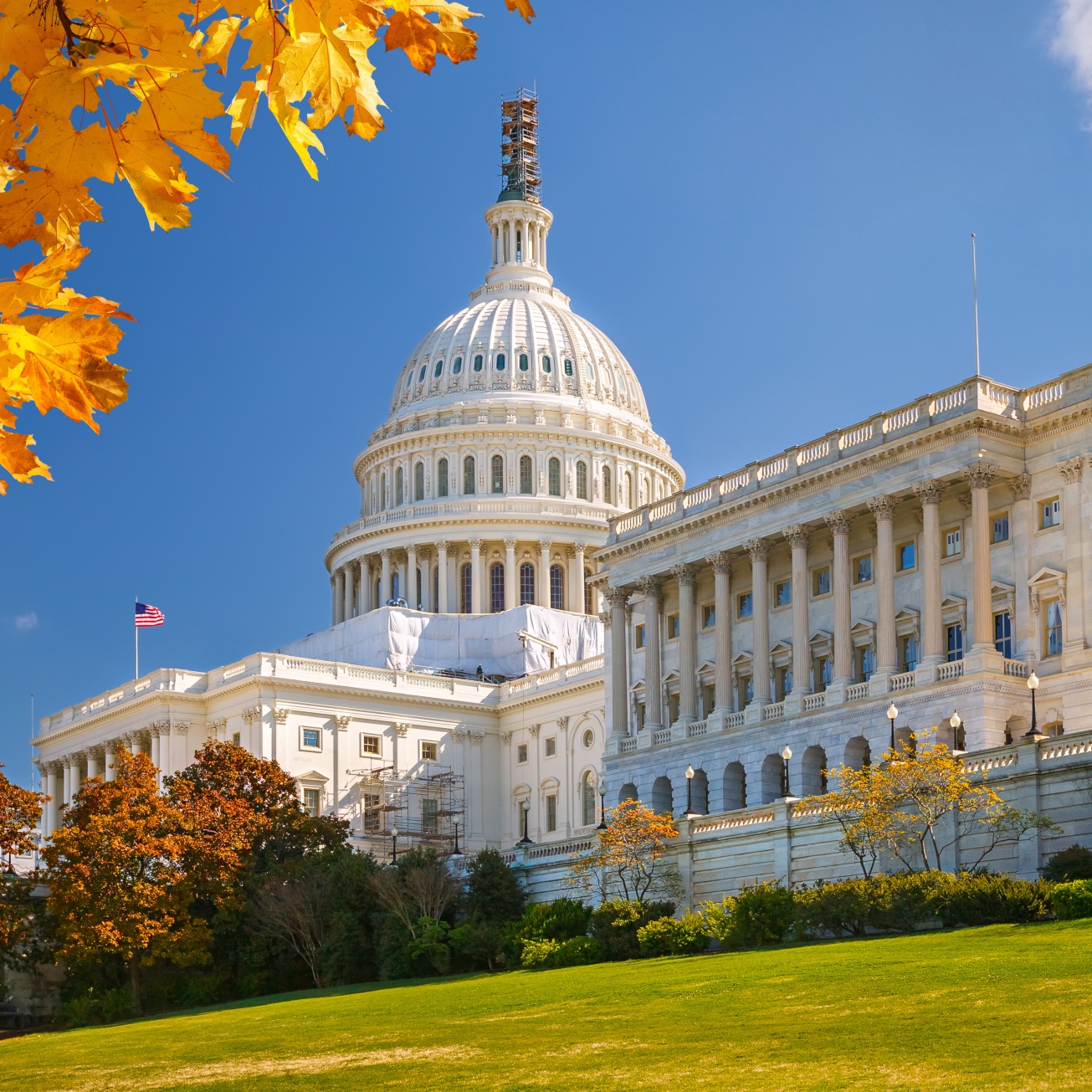 The US Capitol building in Washington, DC